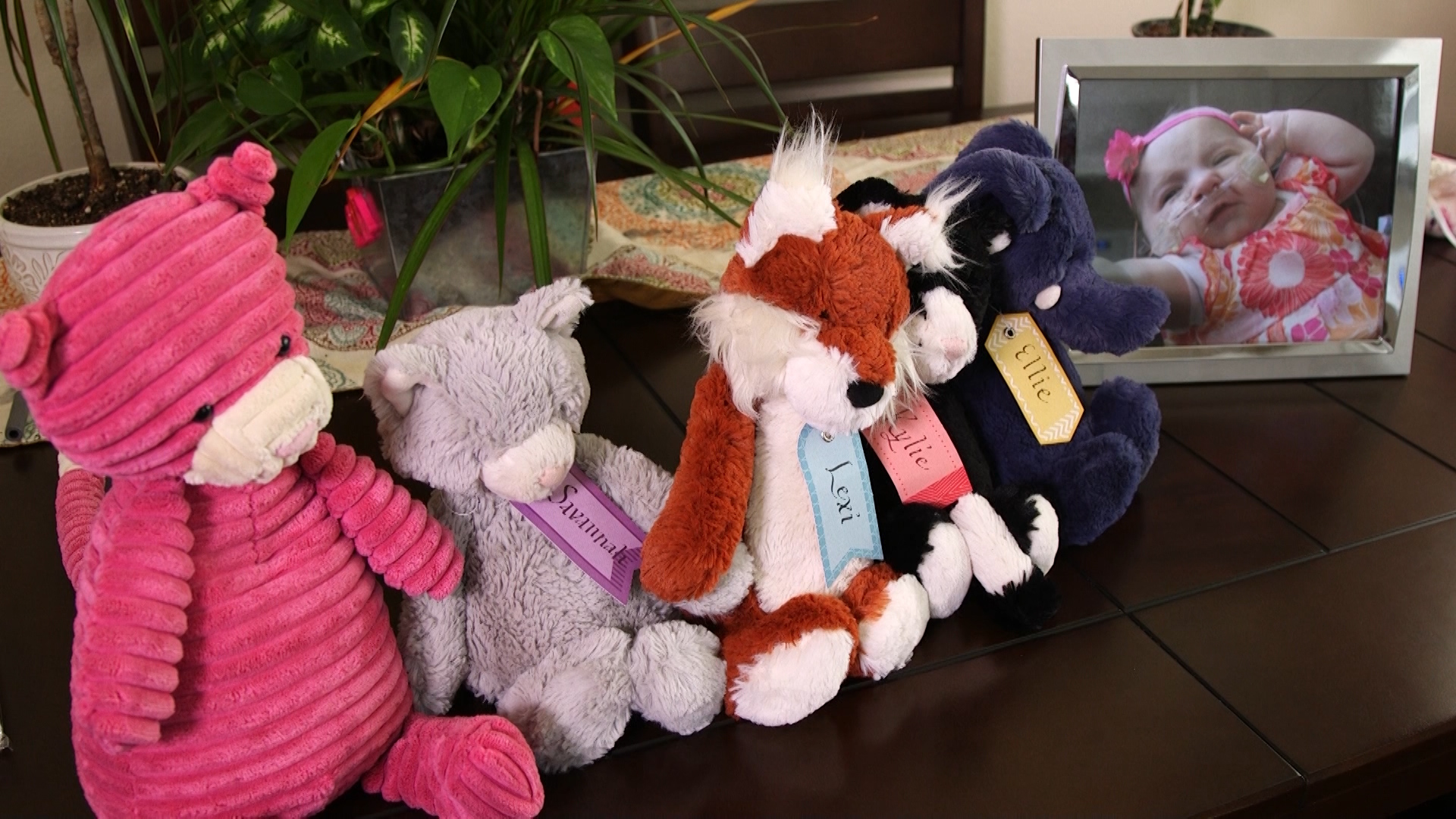 The Osborn family is teaching others how to gift through grief after losing five daughters. (KSL TV)