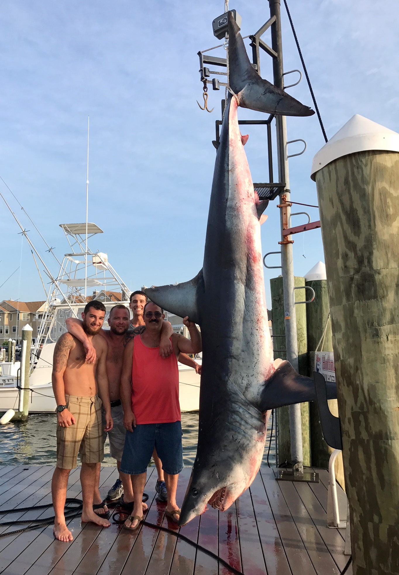 Fishing crew catches 926-pound shark off New Jersey coast