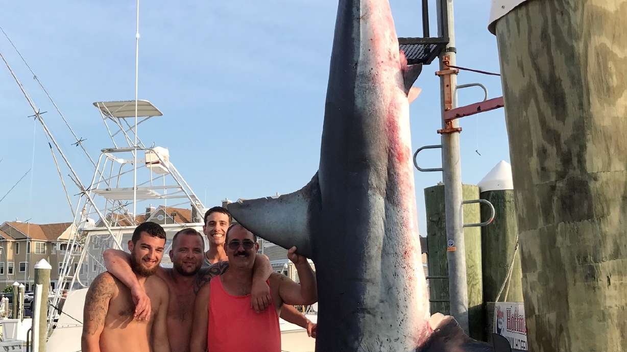 Fishing crew catches 926-pound shark off New Jersey coast