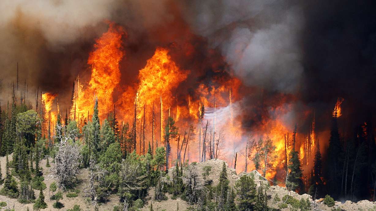 State, federal agencies considering how to eliminate 2 wildfire dispatch centers