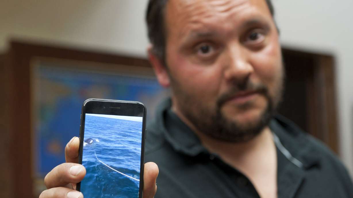 Orca whale repeatedly rams fishing boat, Alaska man says