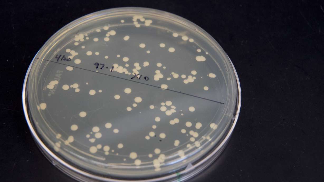 Scientists build DNA from scratch to alter life's blueprint