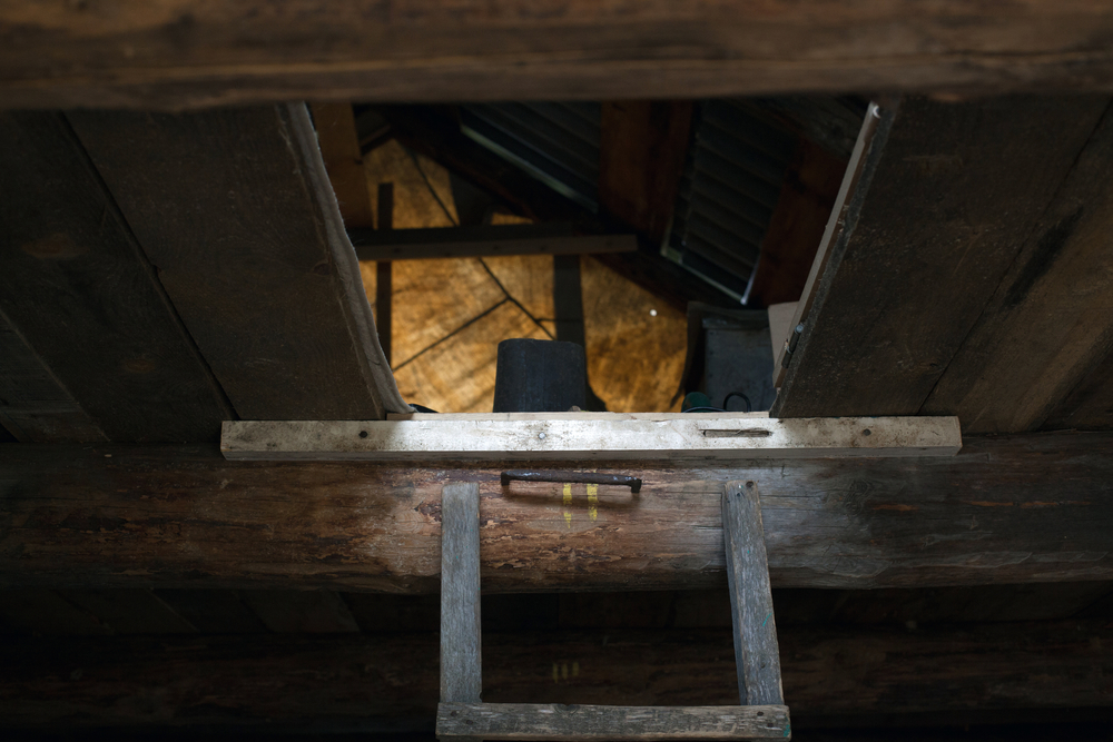 Police: Woman hears footsteps, learns man living in attic