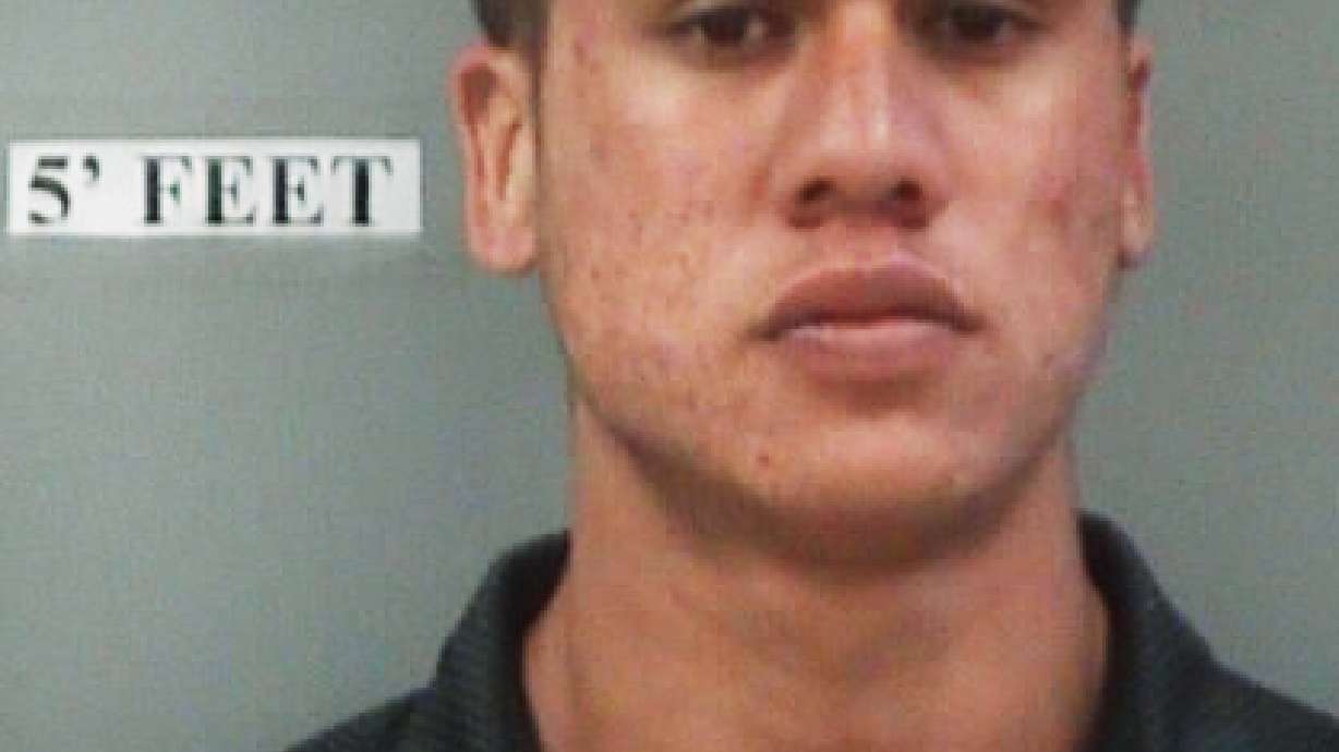 4 years in prison for harassing pregnant Hawaiian monk seal