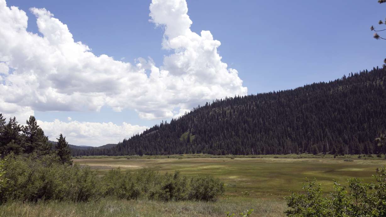 Rare birds, wildflowers: 'Secret garden' opens after century