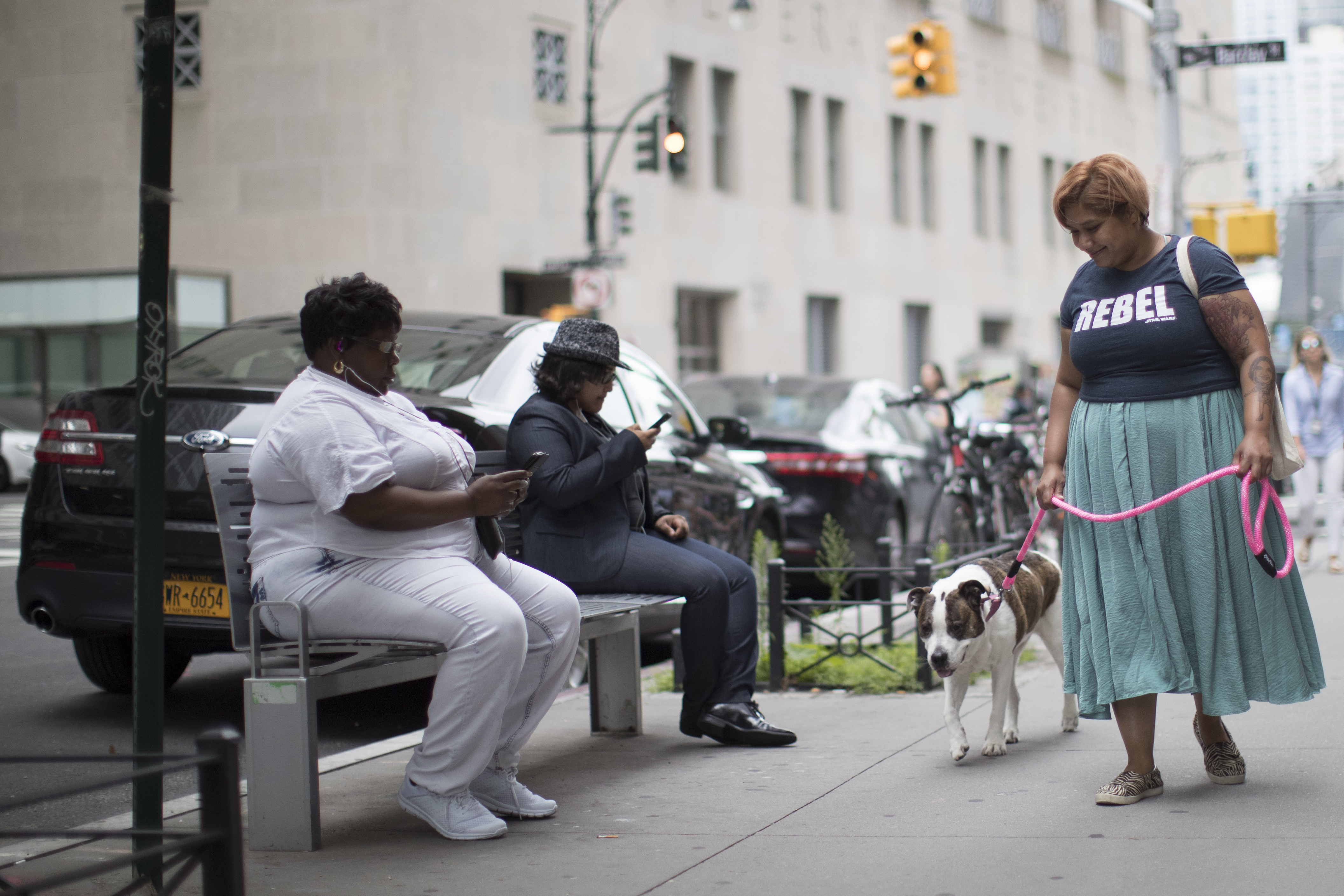 NYC to at-home pet boarders: Legally, you're in the doghouse