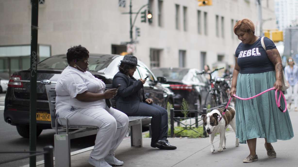 NYC to at-home pet boarders: Legally, you're in the doghouse