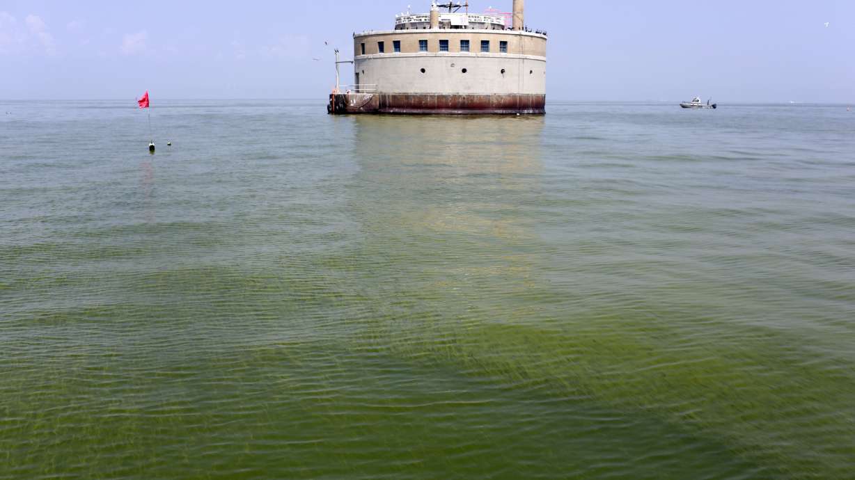 Researchers creating warning system for toxic algae in lakes