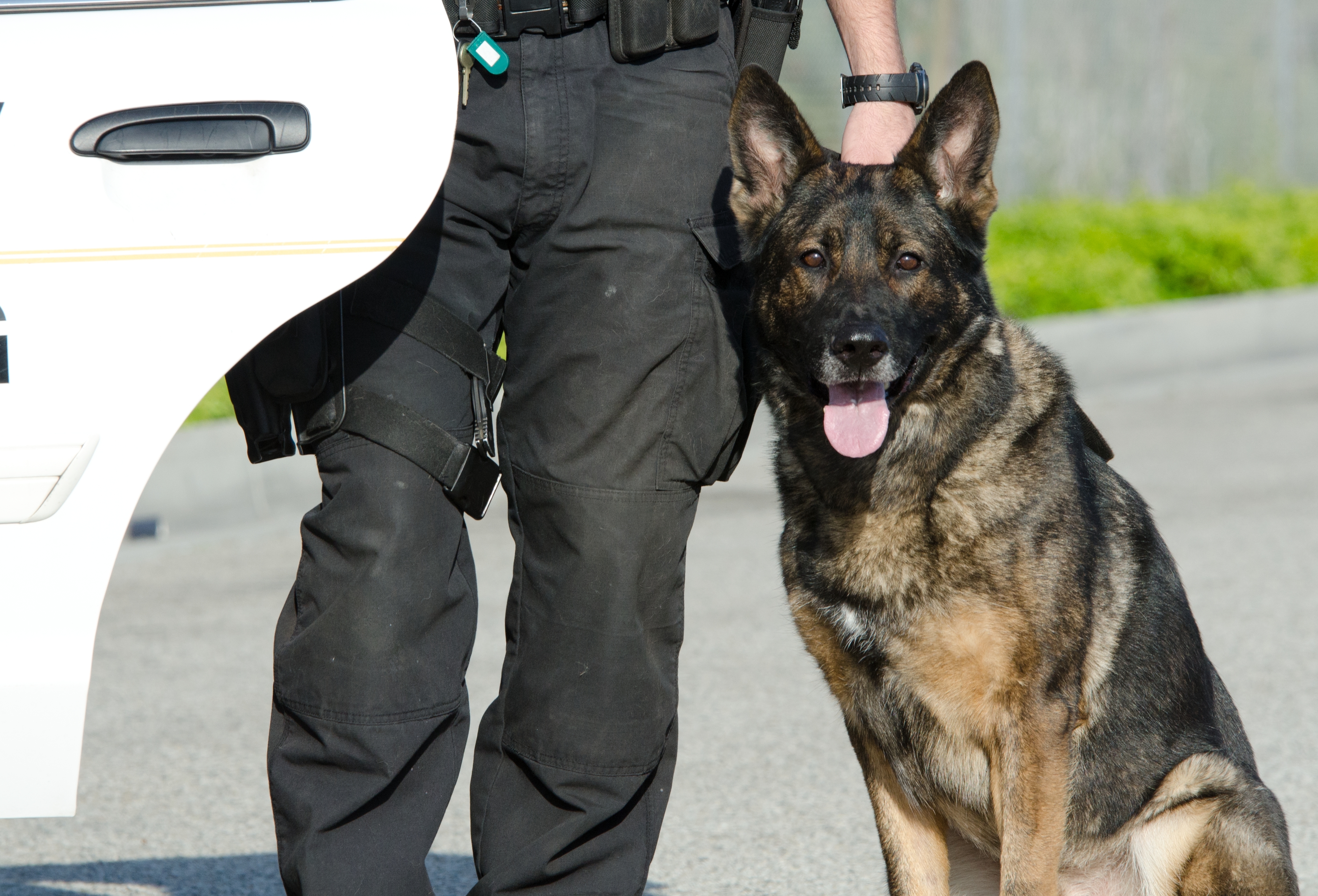 West Jordan woman donates $4,000 for bulletproof vests for police dogs