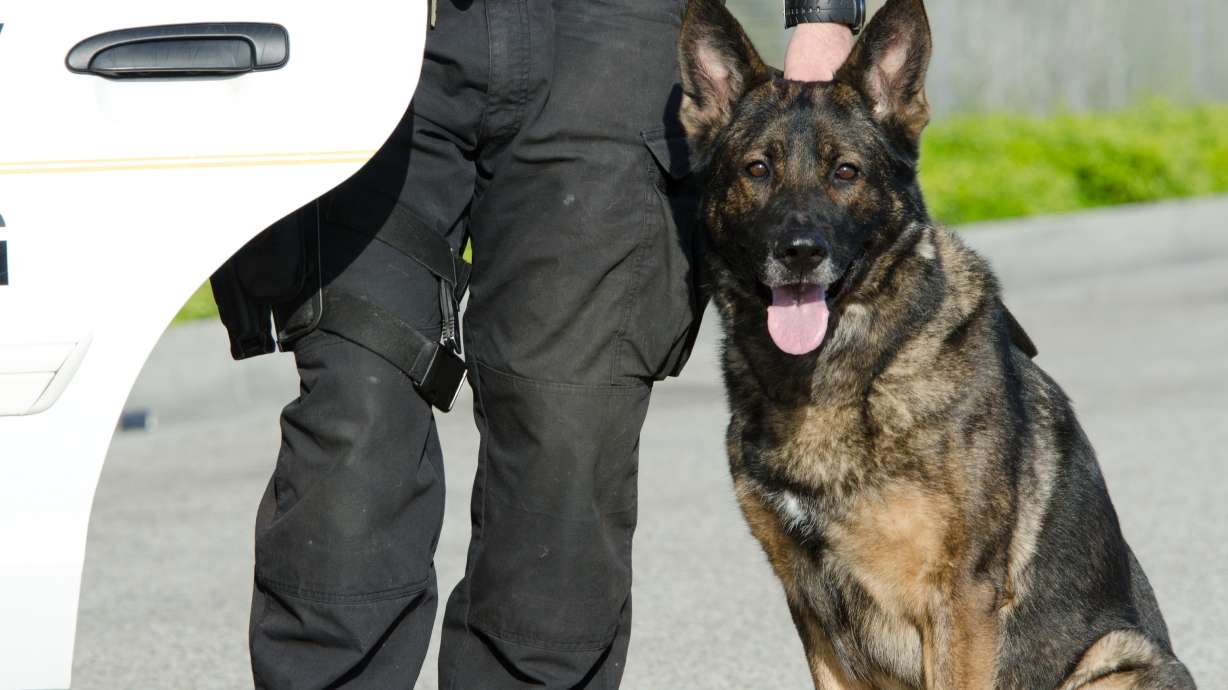 West Jordan woman donates $4,000 for bulletproof vests for police dogs