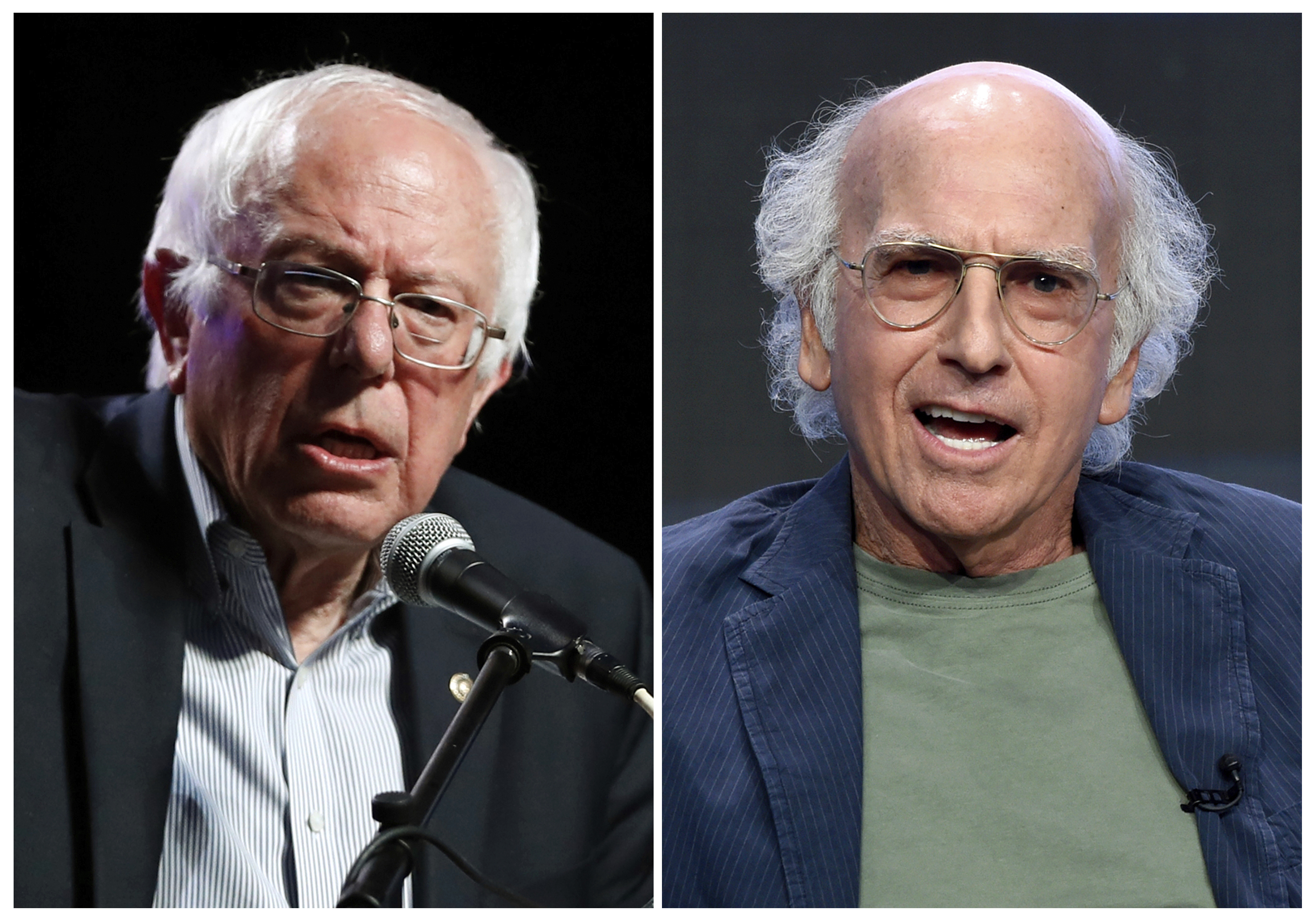 Bernie Sanders and Larry David share some 'identical DNA'