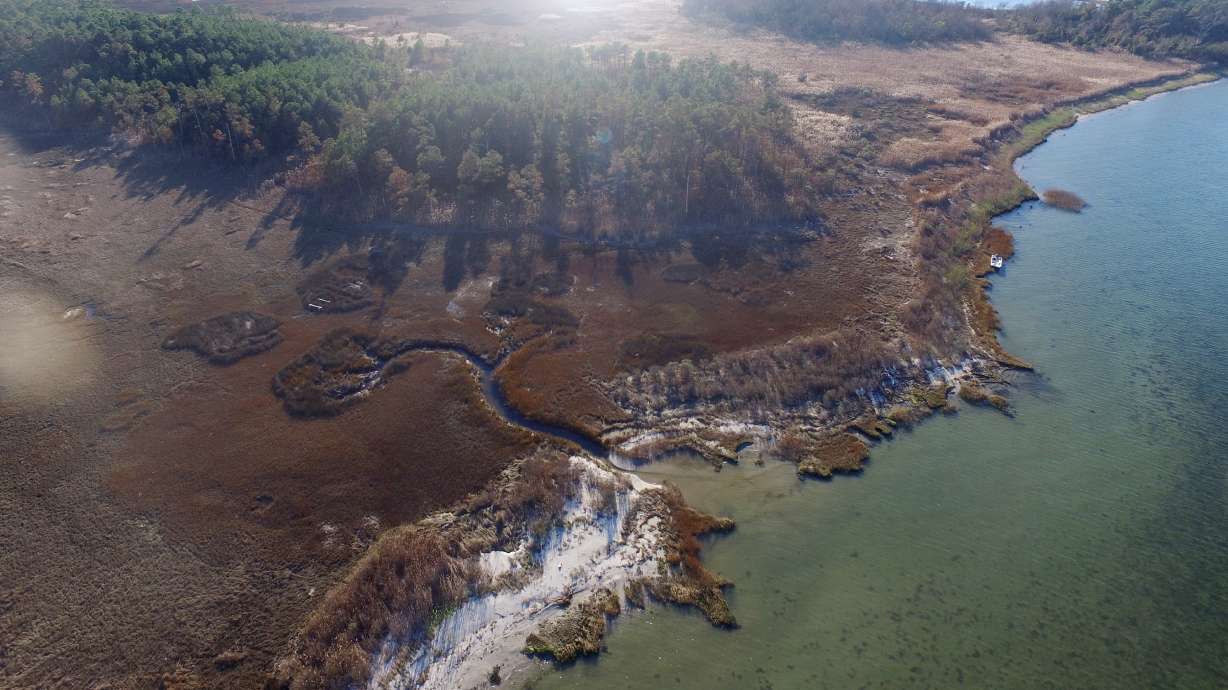 Climate change before your eyes: Seas rise and trees die