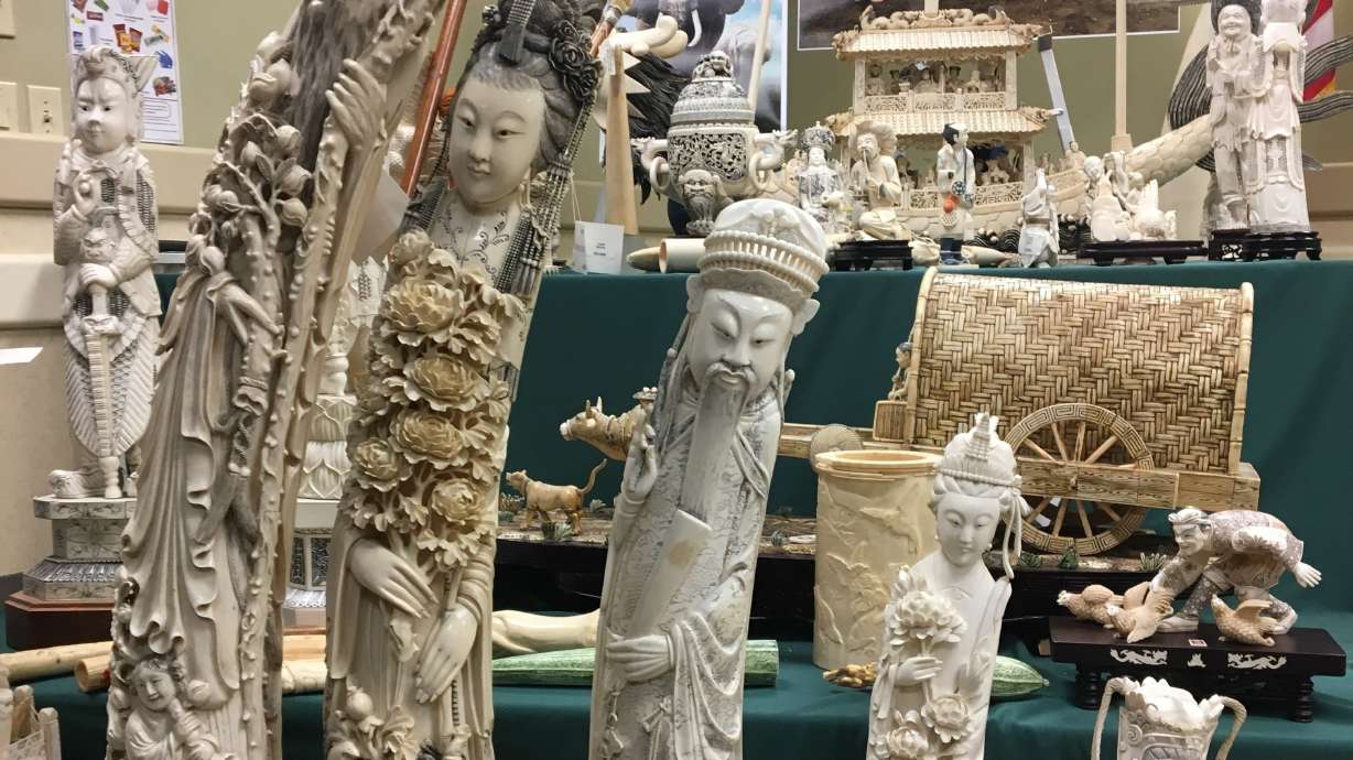 2 tons of seized ivory crushed to protest illegal trade