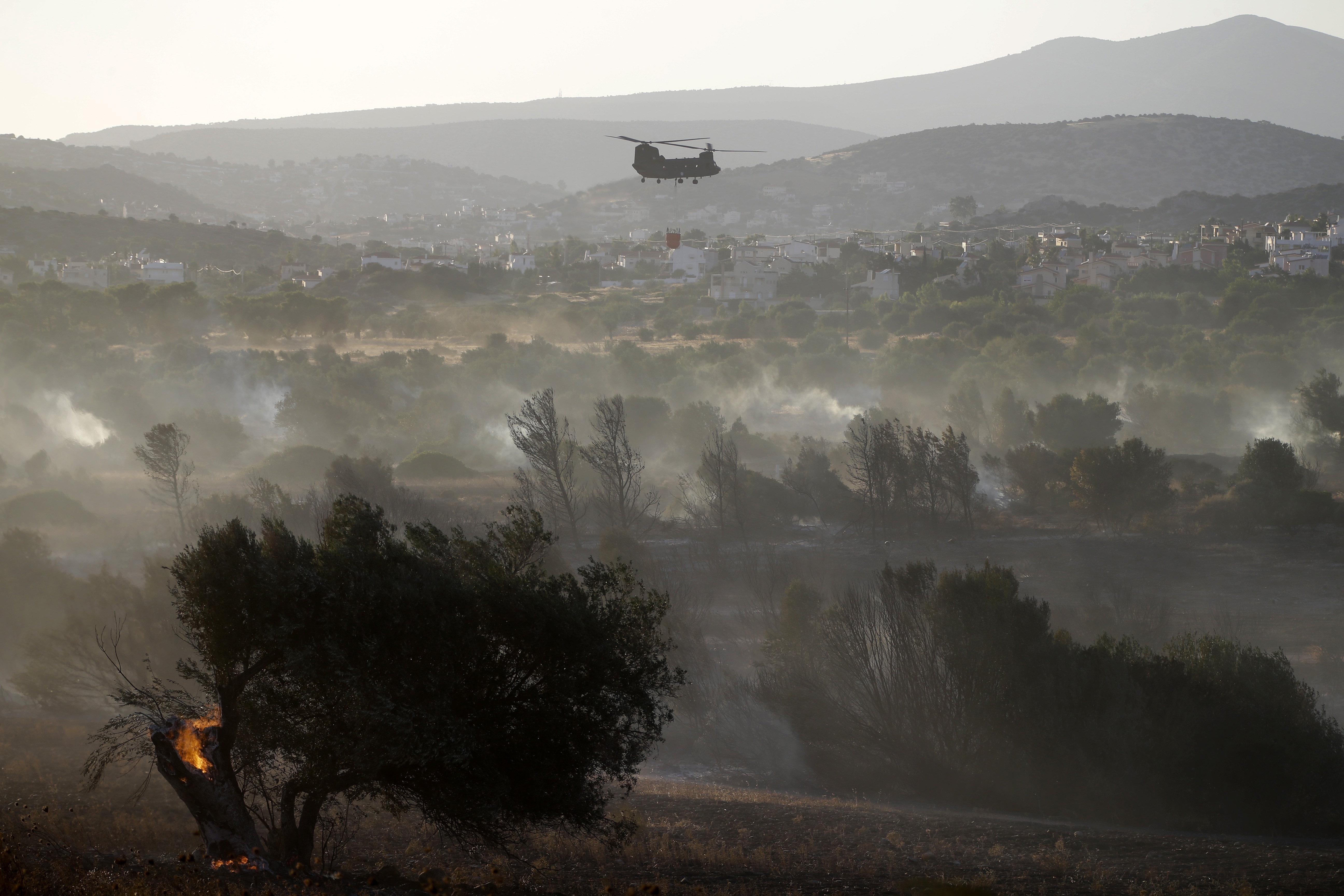 The Latest: Wildfires in Albania threaten a national park