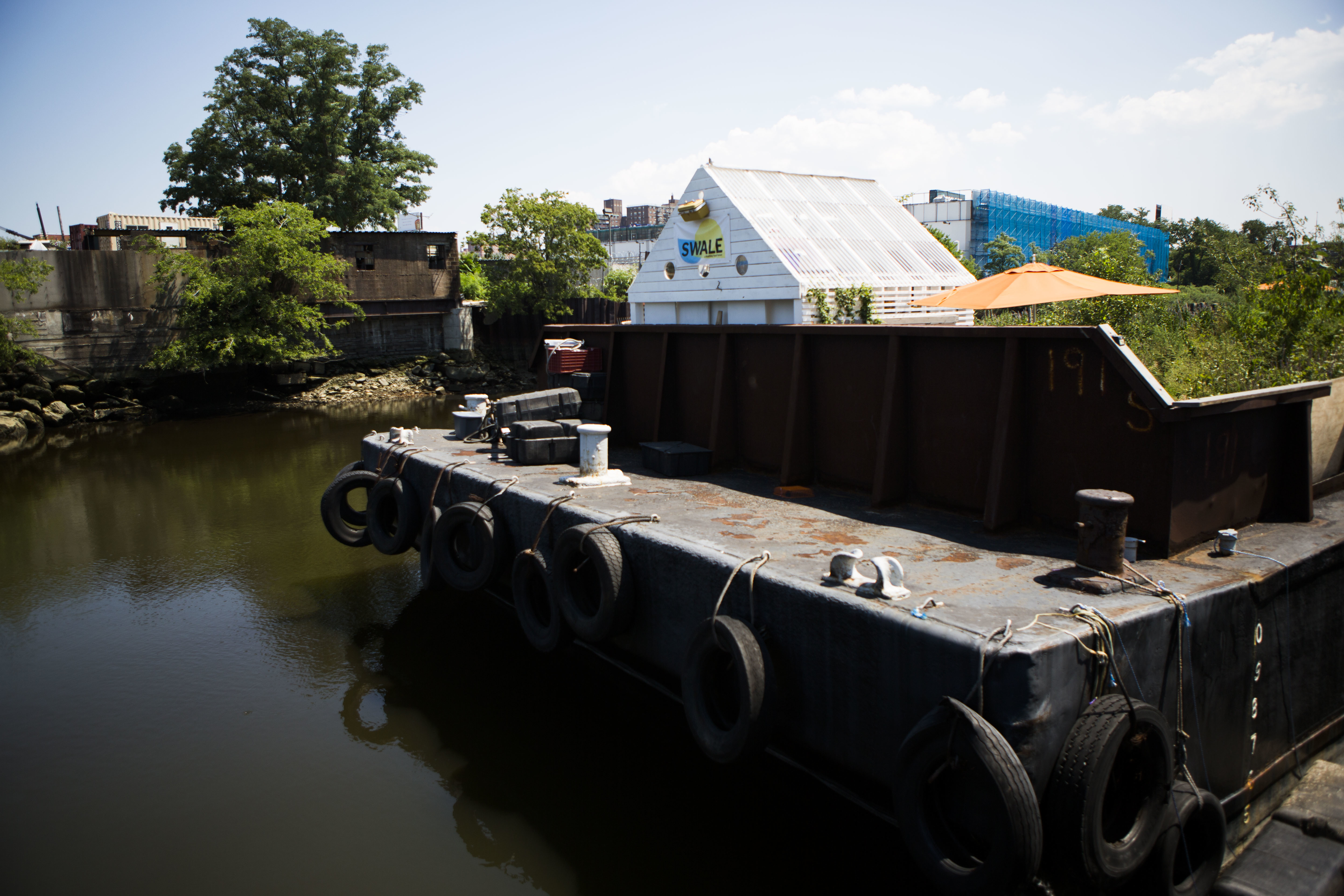 Food is free for the taking at floating 'forest' in NYC