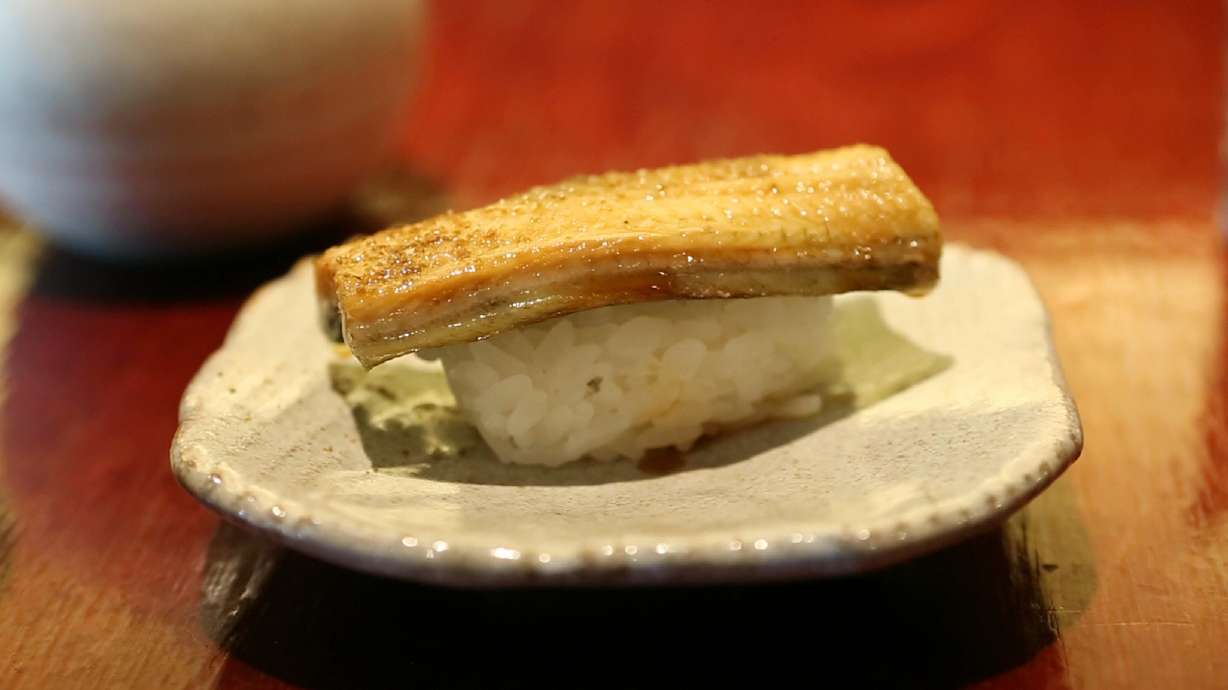 Poached eels: US strikes at illegal harvests as value grows