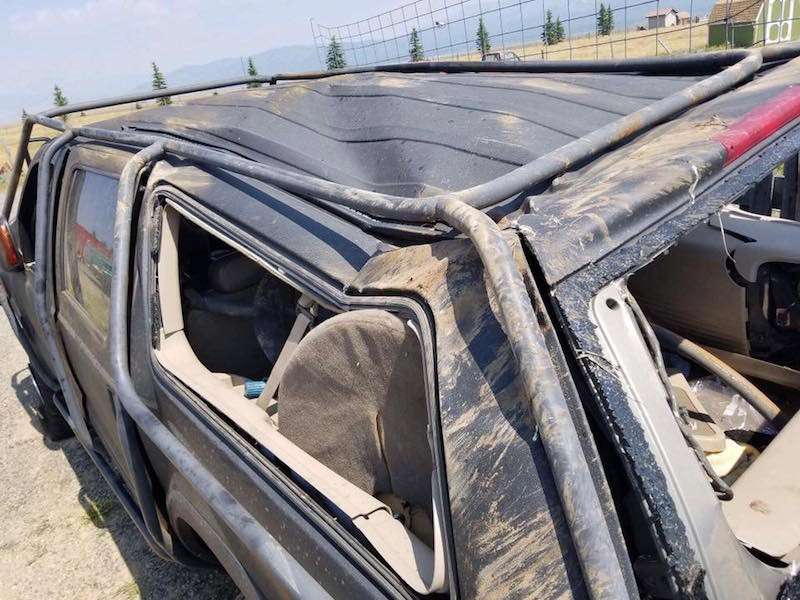 Happy homecoming for 2-legged dog who continues to beat the odds