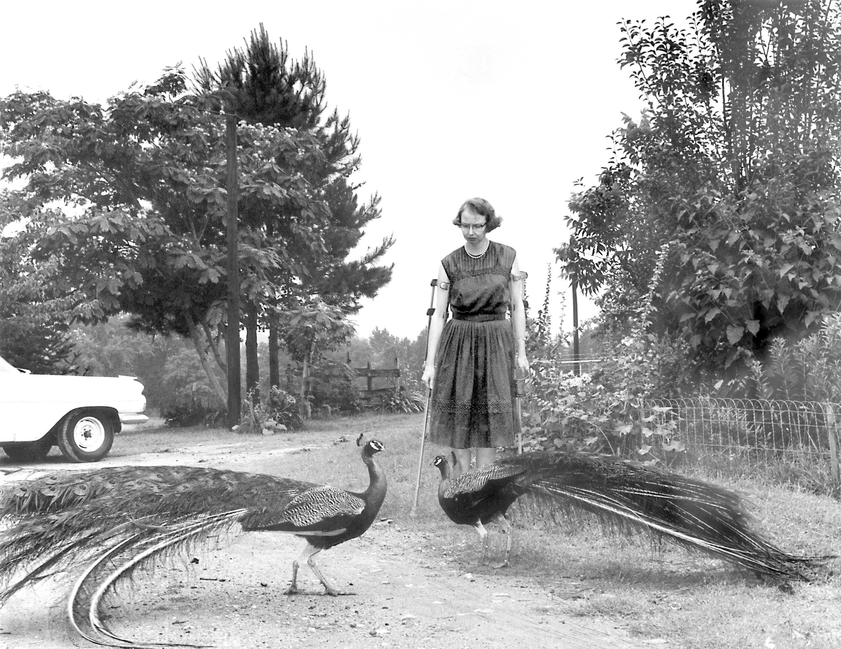Flannery O'Connor's Andalusia farm gifted to Georgia College