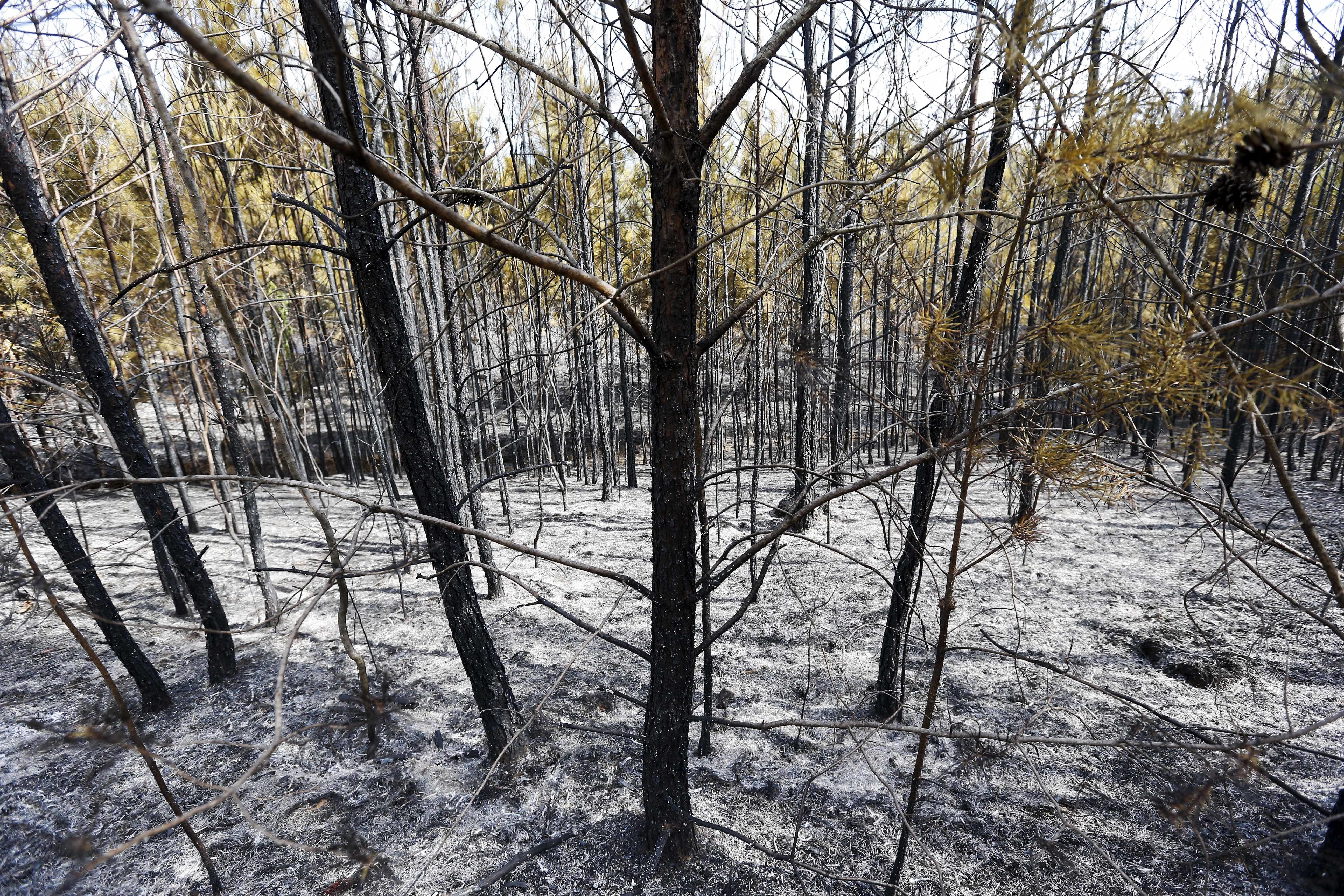Science Says: Trump team garbles climate science