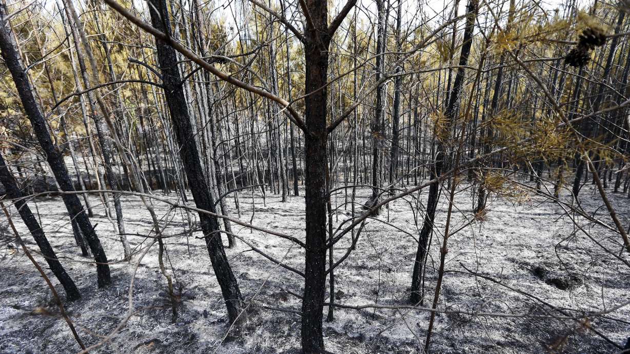 Science Says: Trump team garbles climate science