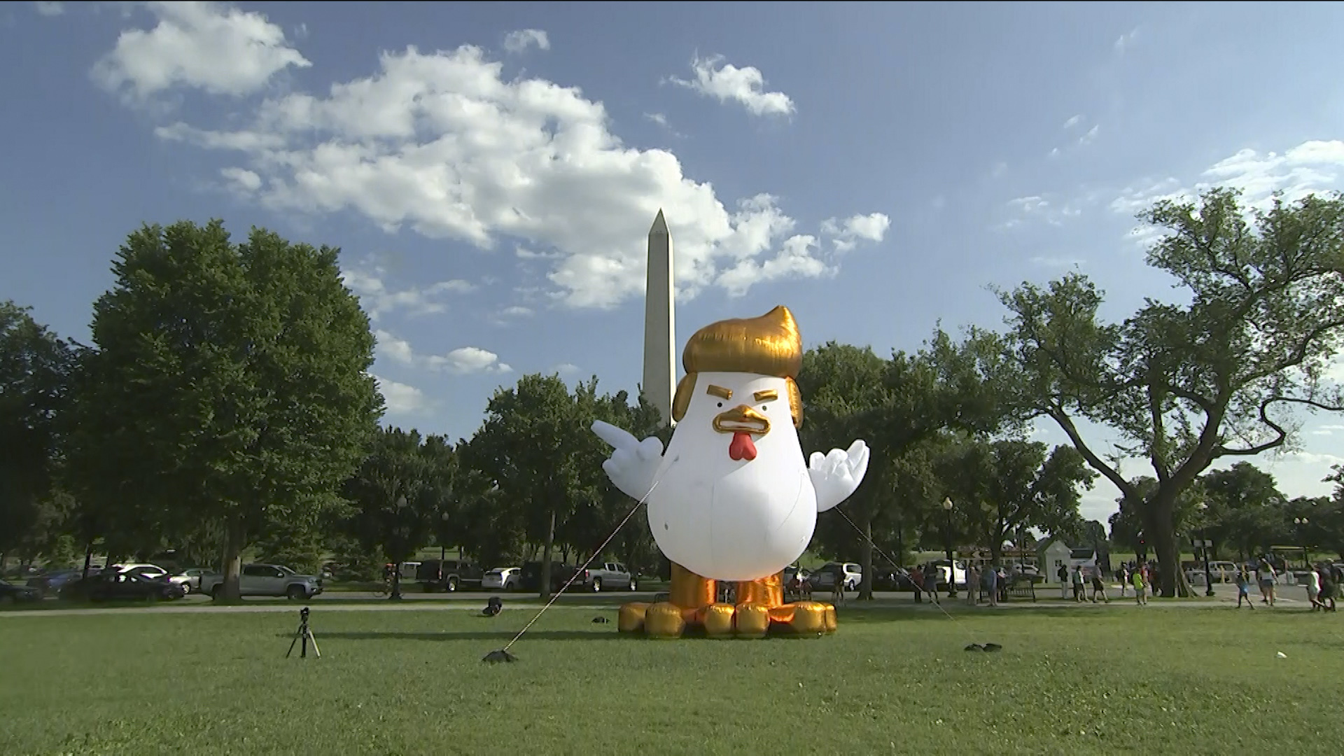 Inflatable Trump chicken takes roost outside White House