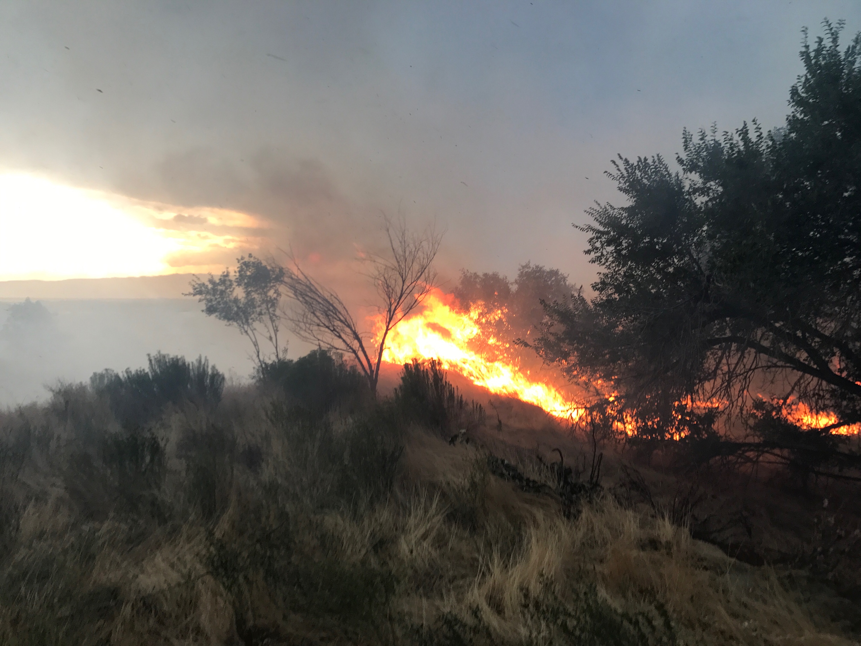 Springville homes temporarily evacuated due to fire