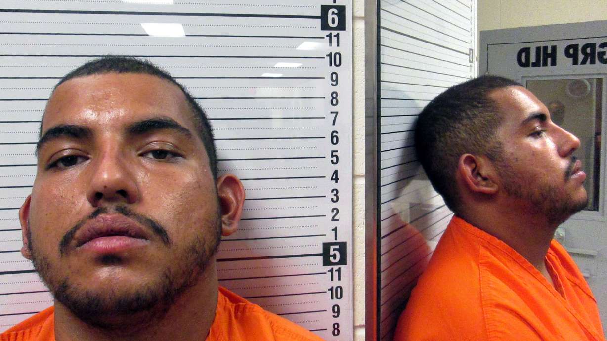 Man gets life for killing 2 who stopped to help him on road