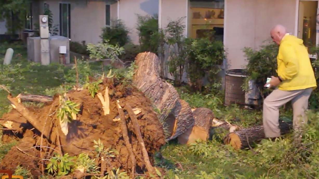 ‘It came down like a river;’ massive storm floods roads, upends trees in St. George
