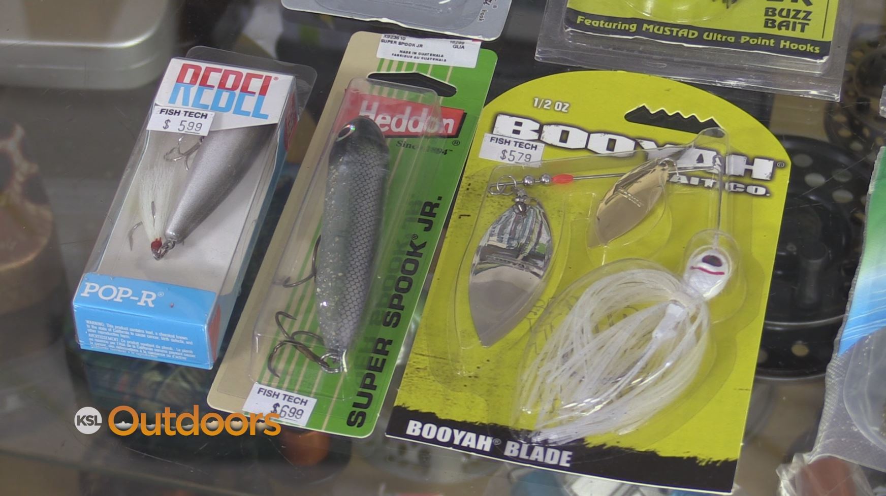 Fish Tech Fishing Tip: How to Catch Summer Bass 