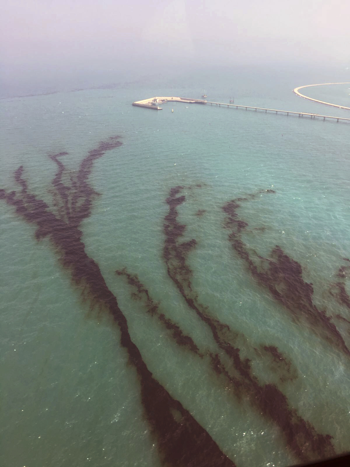 Group estimates 34,000 gallons of oil spilled off Kuwait