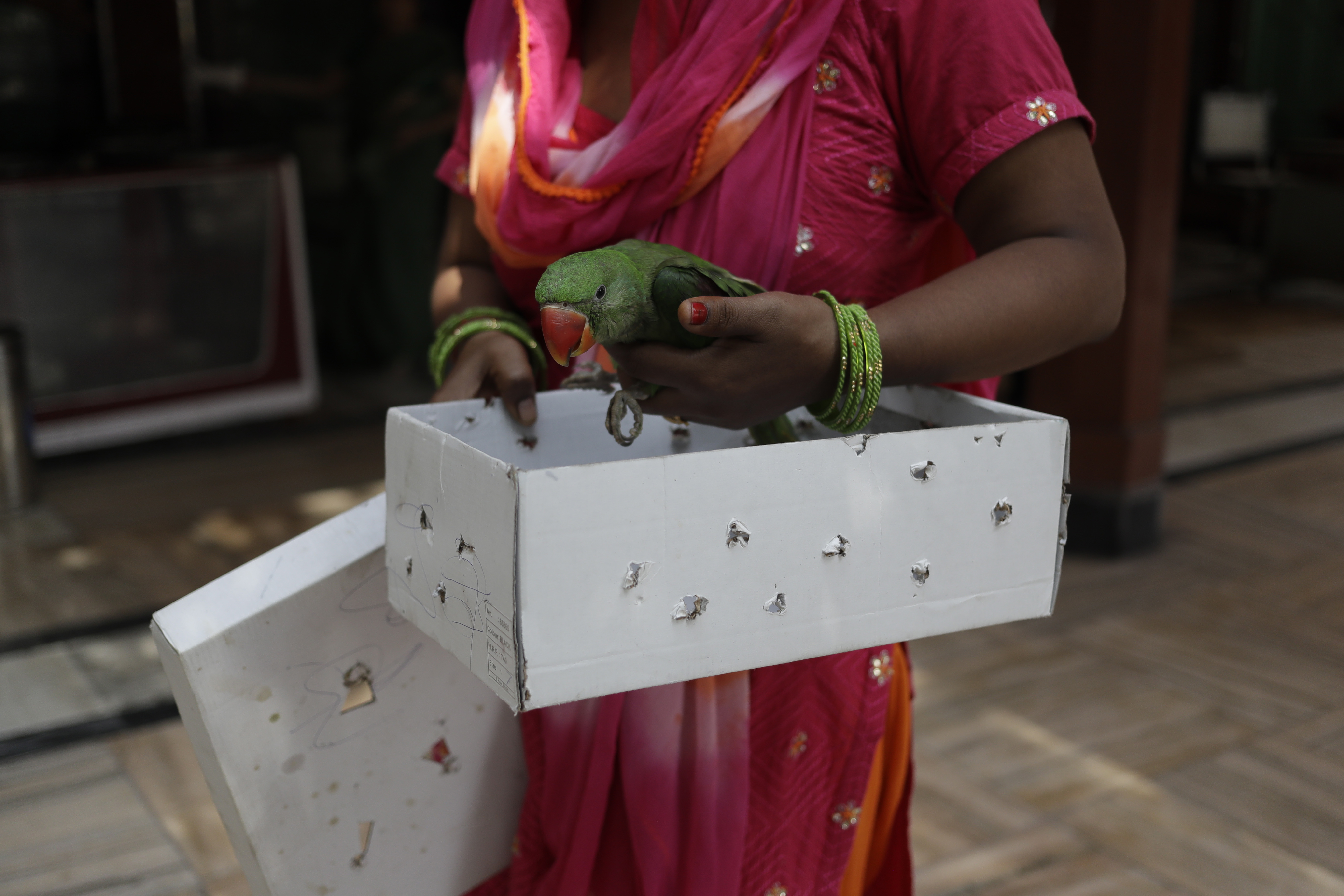 Birds cut down by kite flying on Indian Independence Day