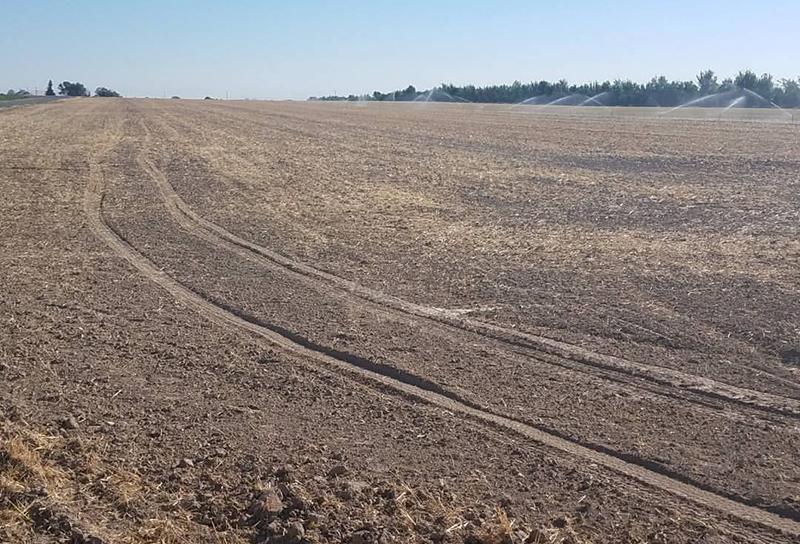 Idaho farmer finds group of tourists camped in middle of his planted field