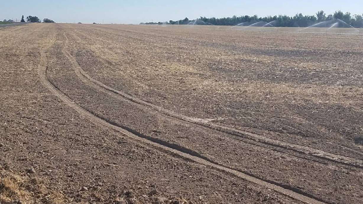 Idaho farmer finds group of tourists camped in middle of his planted field