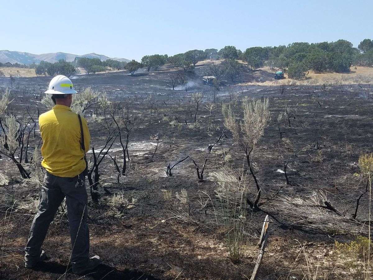 (Photo: Shelbie Harris, Idaho State Journal)