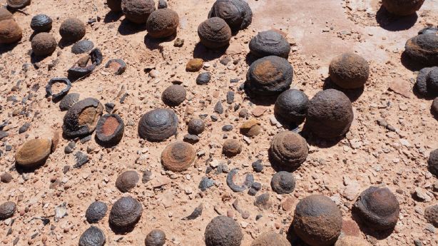Report Bureau Of Land Management Agent Handed Out Confiscated Moqui Marbles Like Candy Ksl Com