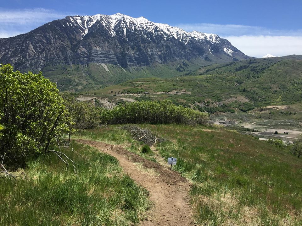 Utah Dept. of Natural Resources asking public to stop making illegal trails on Timp foothills