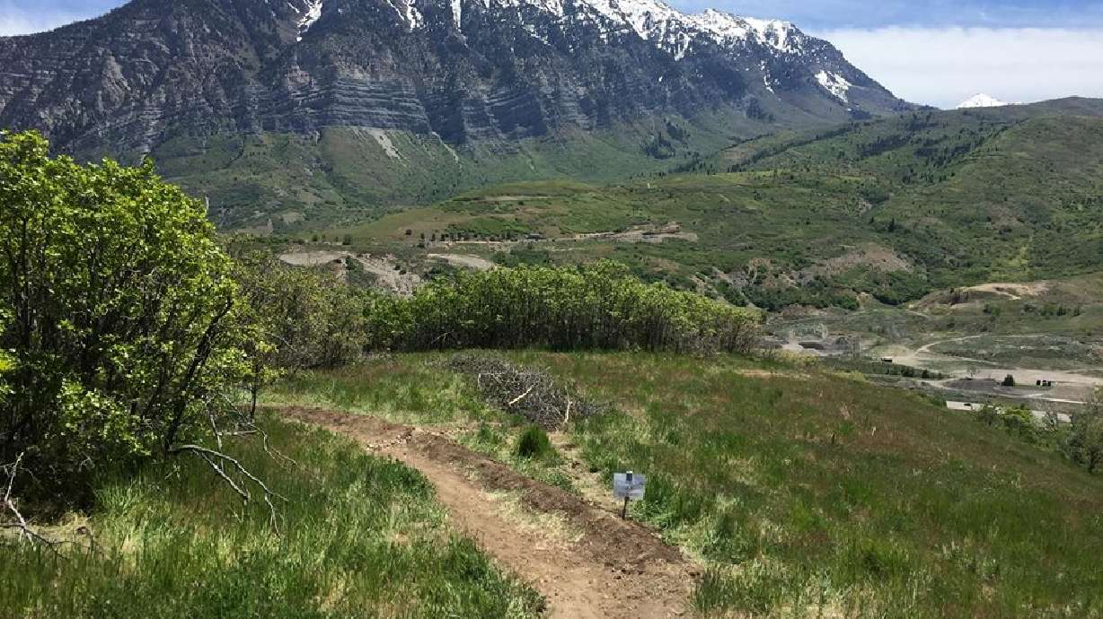 Utah Dept. of Natural Resources asking public to stop making illegal trails on Timp foothills