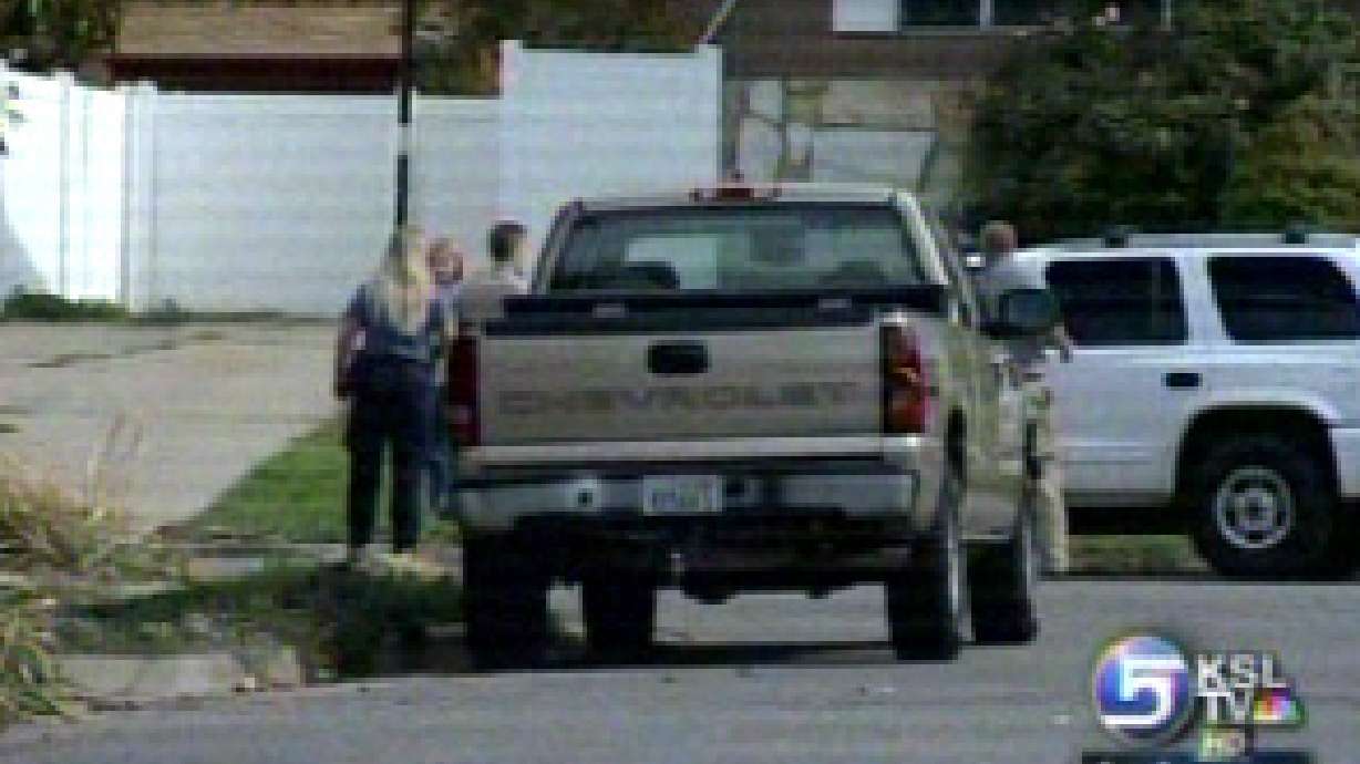 Bobcat Spotted in North Salt Lake