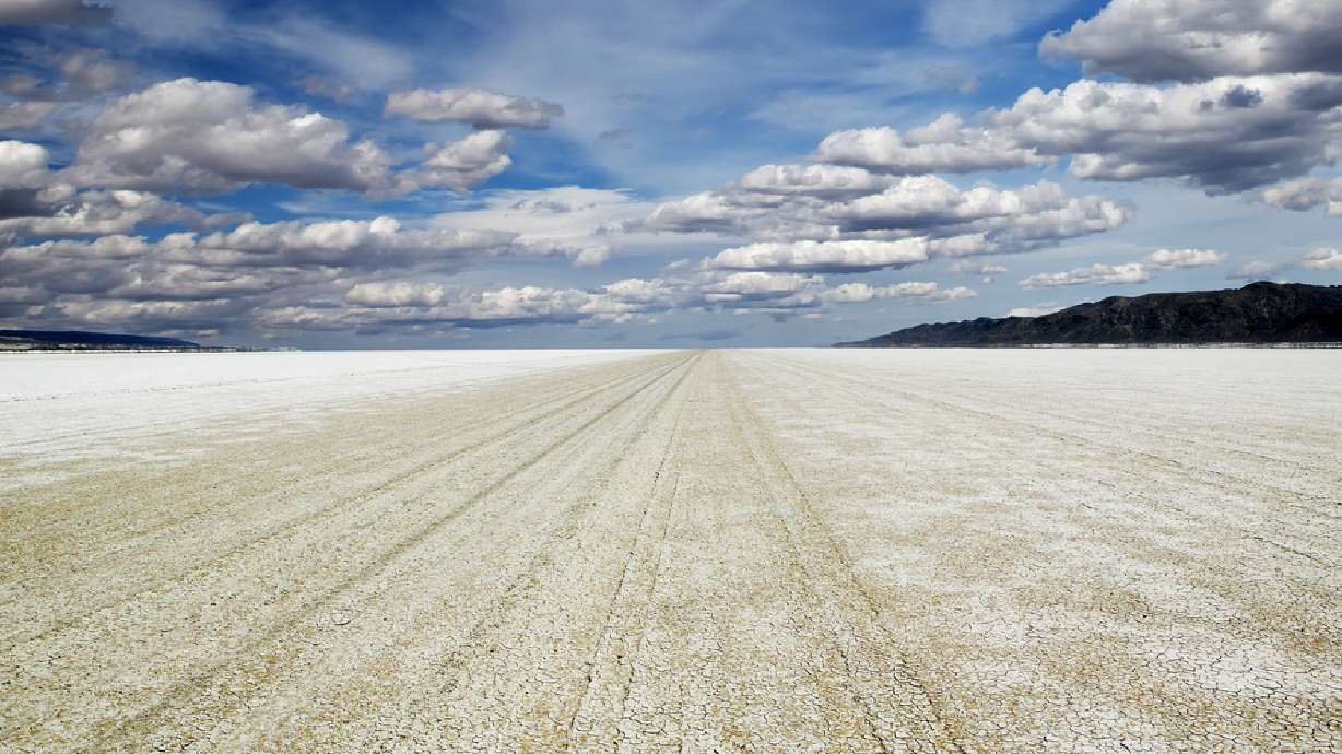 Burning Man attendee dies after running into flames