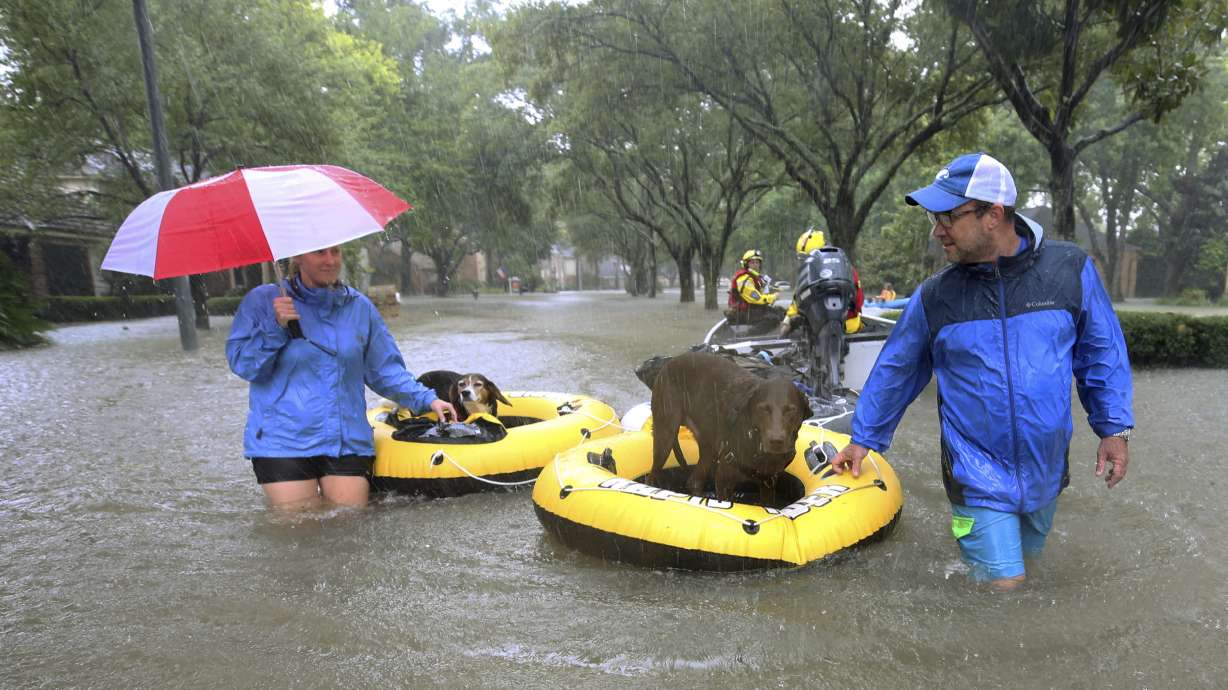 TV network focuses on Harvey animal rescues