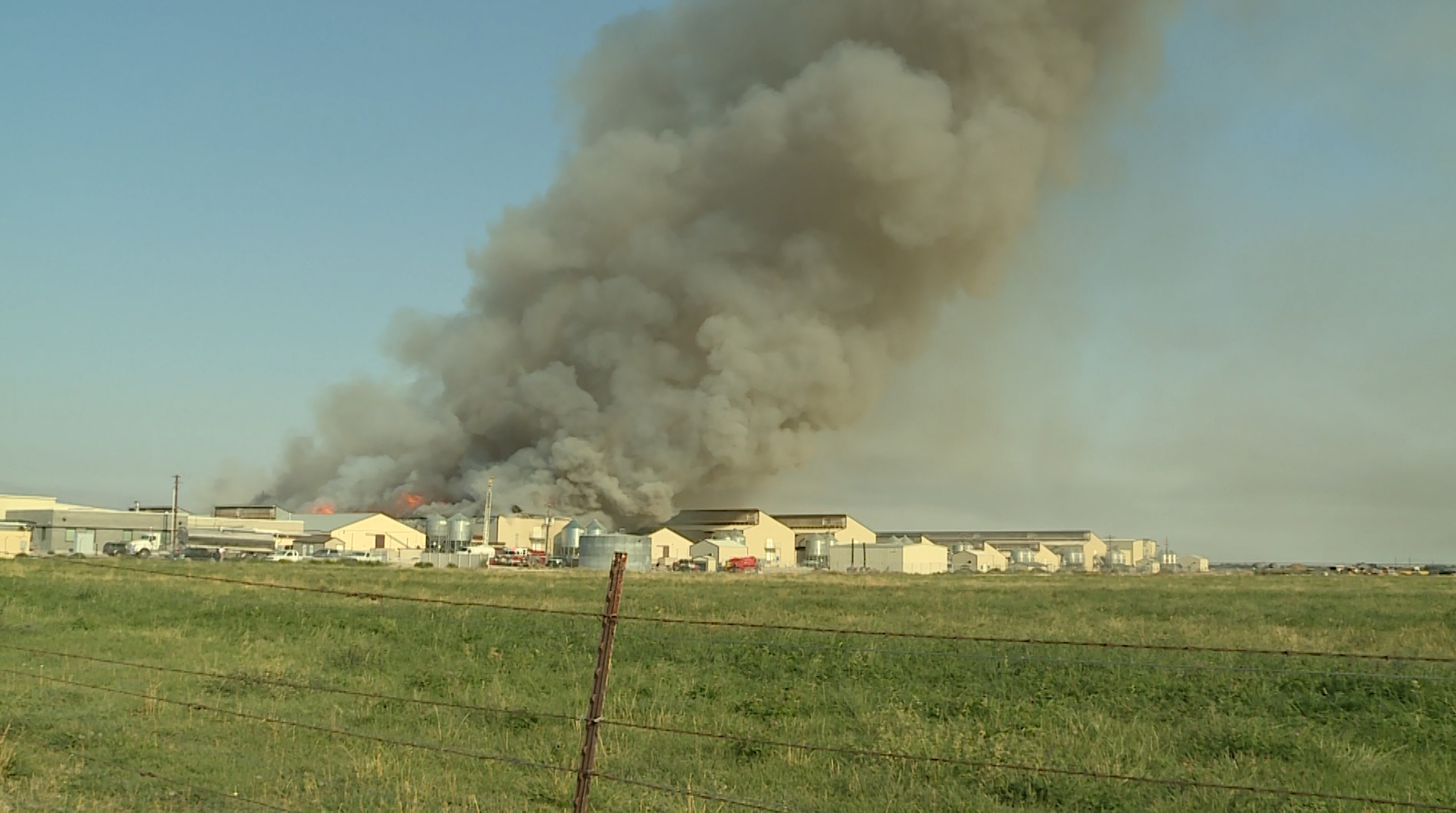 Vigil planned for chickens killed in egg-farm fire