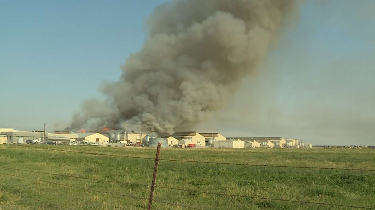 Vigil planned for chickens killed in egg-farm fire