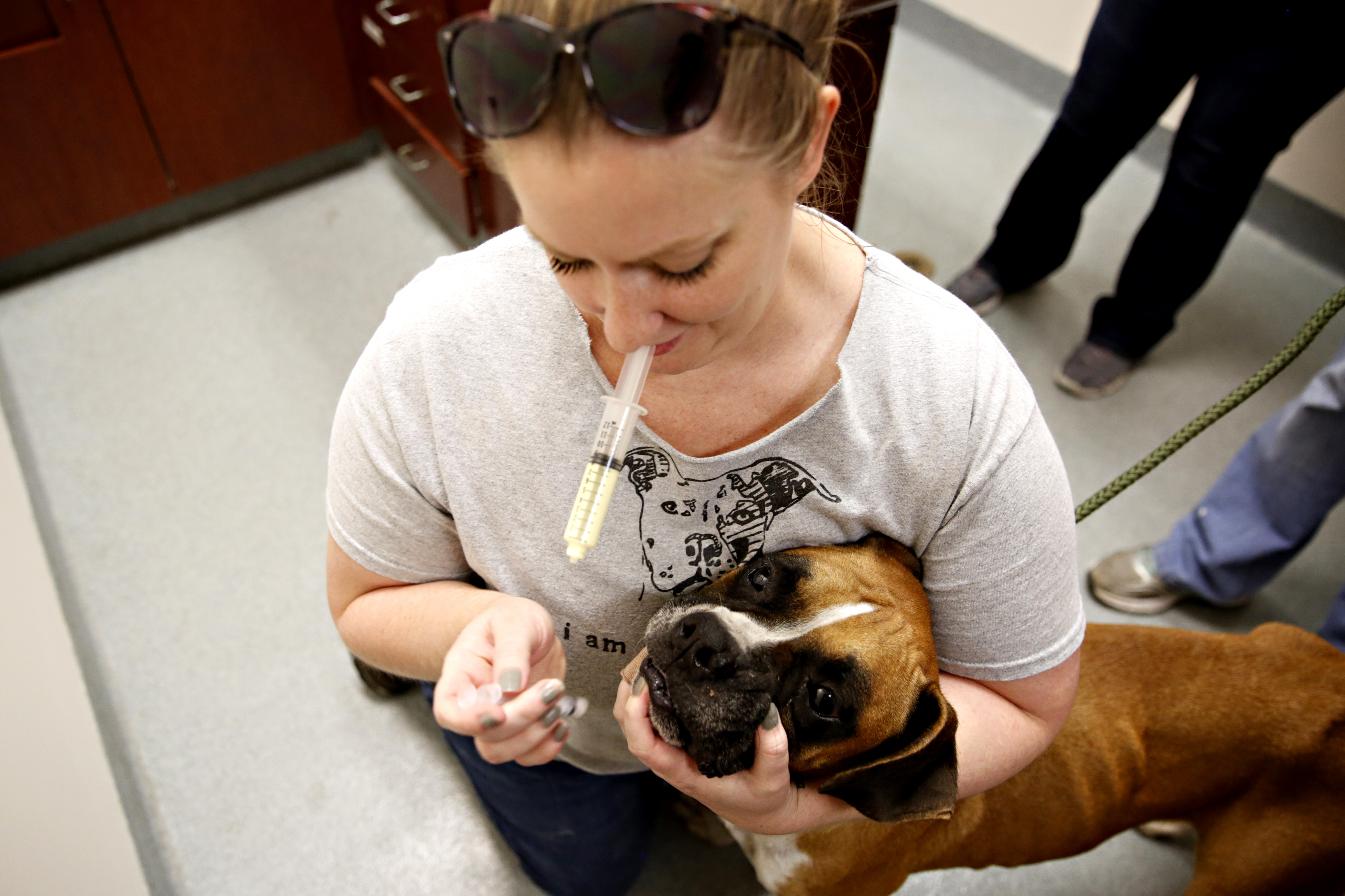 Mo the Sloth and Kramer the Emu do time in county jail