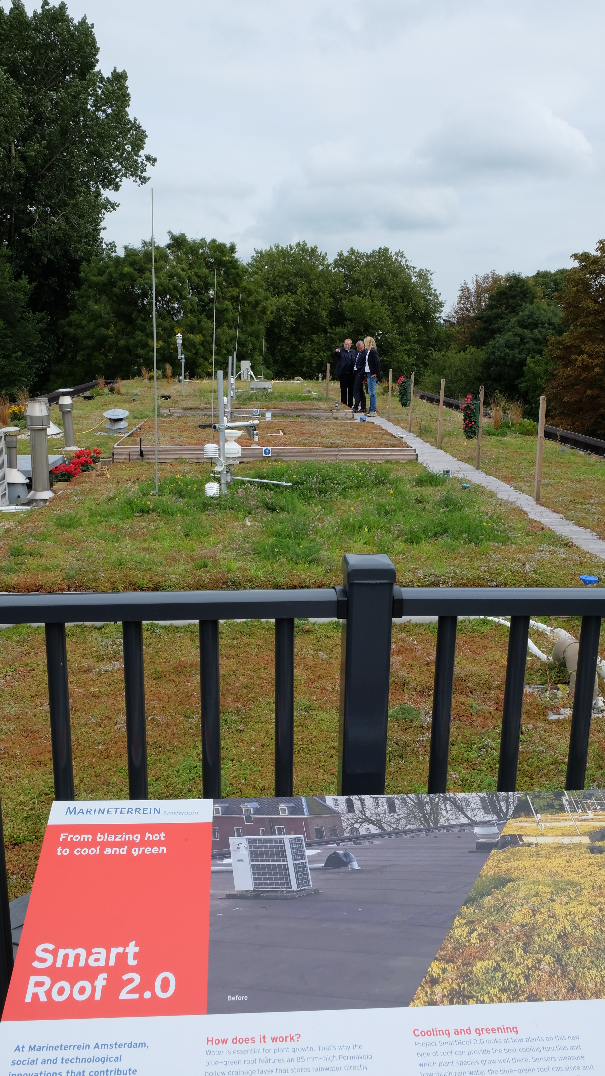 Dutch engineer aims high with latest green roof design