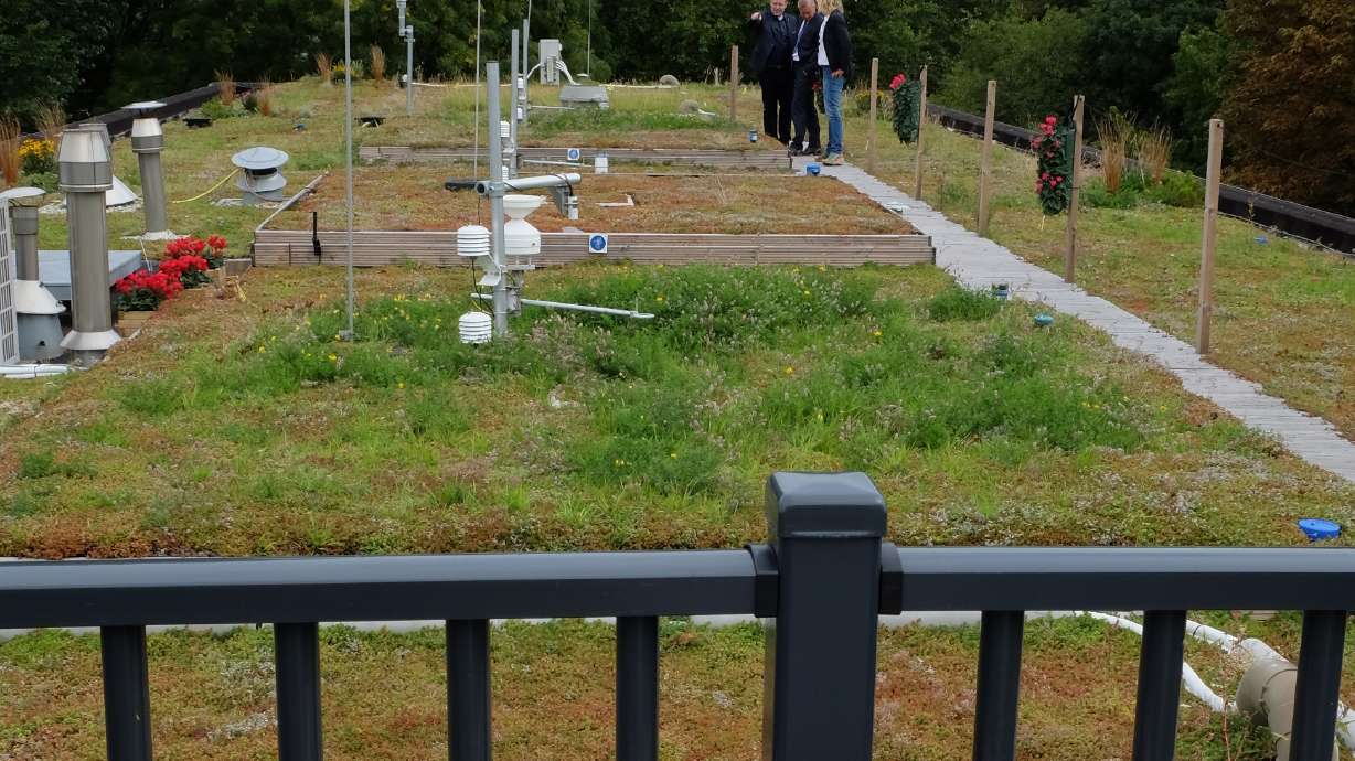 Dutch engineer aims high with latest green roof design