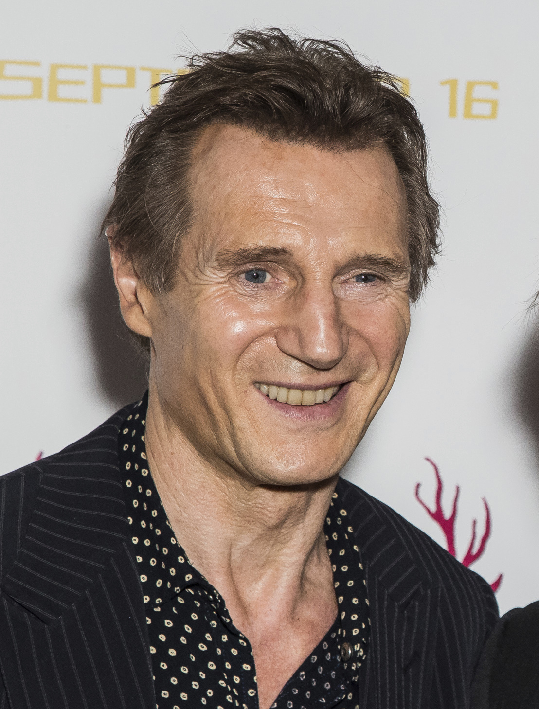 Liam Neeson says his days as an action hero are over