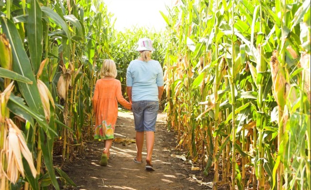 Courtesy of KSL Deals