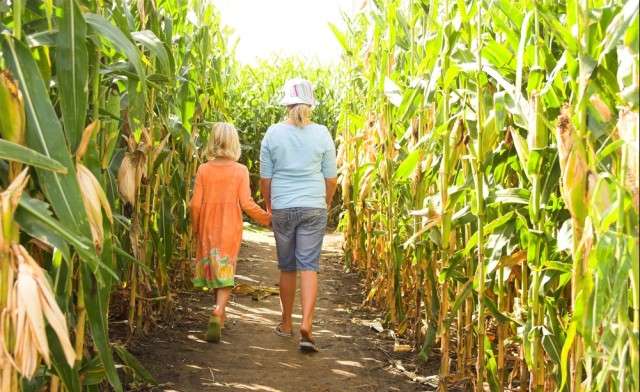 Courtesy of KSL Deals