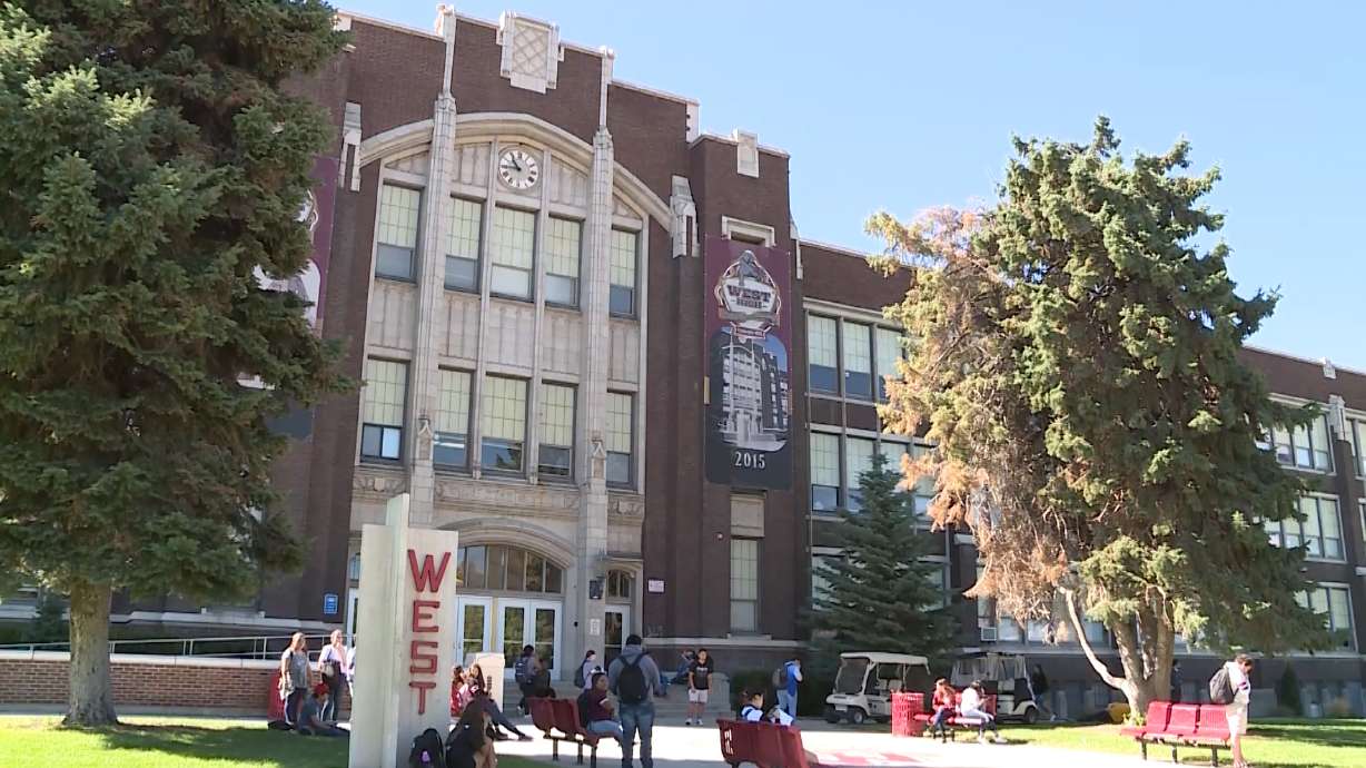 200 bats invade West High School