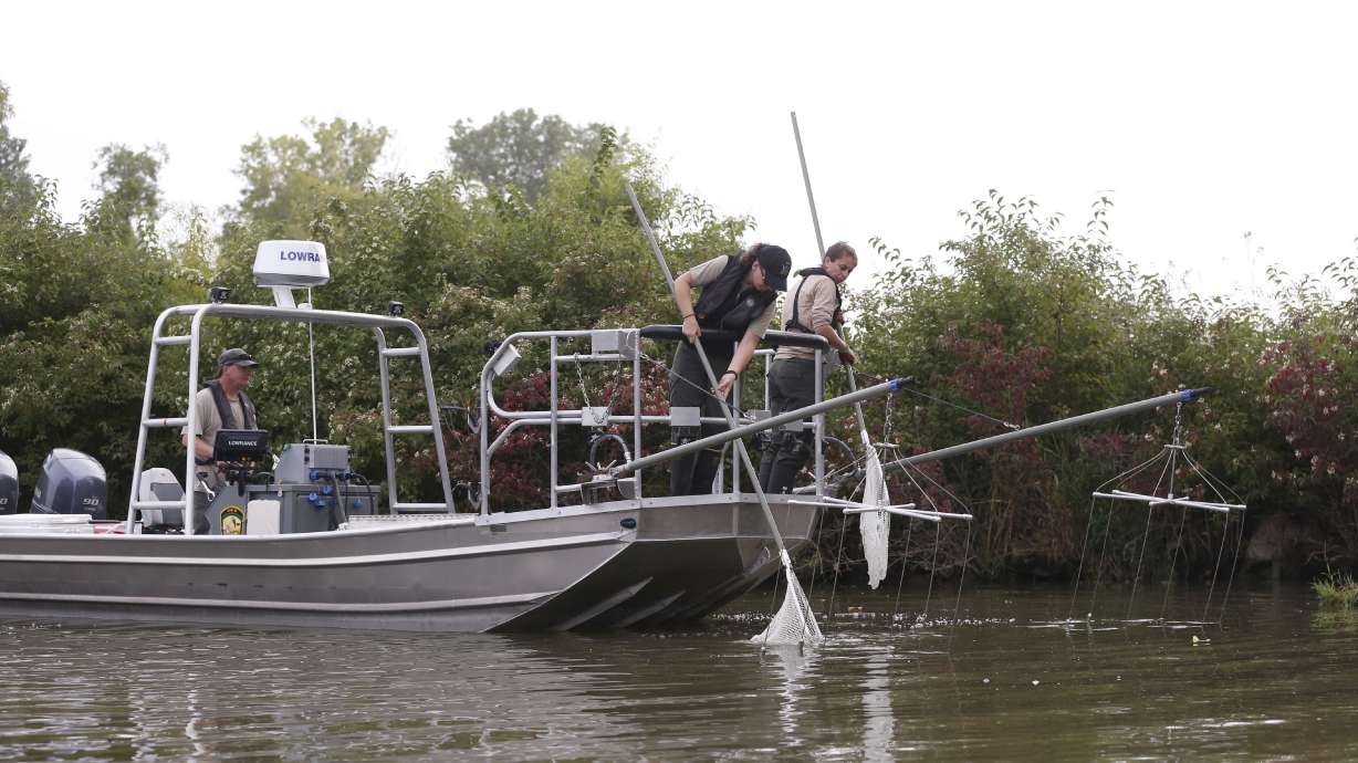 Evidence of invasive grass carp signals threat to Lake Erie